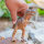 Dinosaurier Spielfiguren/klein, 5 Stück, ca. 10 cm, im Beutel