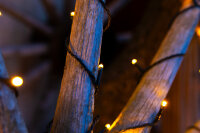 Lichterkette - 40 LEDs, warmweiß