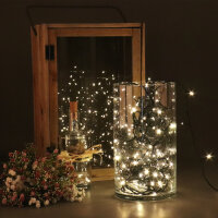 Lichterkette, 20 LEDs, warmweiß
