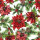 Idena Servietten Weihnachtsmotive 33x33cm