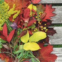 Idena Serviette Herbstmotive 33x33cm sortiert