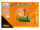 Buntes Tonpapier in DIN A3 Format mit 12 Farben und einem Gewicht von 150 g/m², FSC Mix zertifiziert