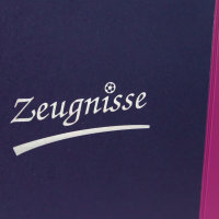 Zeugnisringbuch, DIN A4, mit 10 H&uuml;llen, violett