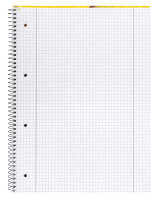 Bundle - Collegeblöcke, Lineatur 28, kariert, mit Doppelrand, 80 Blatt, 70g/m², DIN A4, 5 Stück