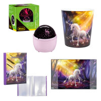 Magisches Ordnungspaket – 4-teiliges Einhorn-Schulset