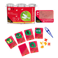 Entdecker-Set 2-teilig – Insektensammelbox & Kescher