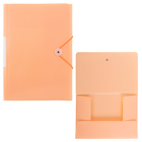 Sammelmappe PP - mit Gummizugverschluss & Rückenschild, pastell aprikot, DIN A4
