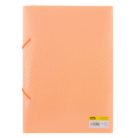 Sammelmappe PP - mit Gummizugverschluss & Rückenschild, pastell aprikot, DIN A4