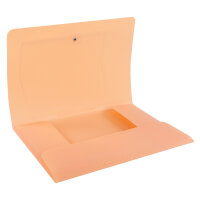 Sammelmappe PP - mit Gummizugverschluss & Rückenschild, pastell aprikot, DIN A4