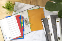 Buntes Register-Set mit 10 Blatt DIN A4 aus robustem PP-Material in verschiedenen Farben