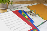 Buntes Register-Set mit 10 Blatt DIN A4 aus robustem PP-Material in verschiedenen Farben